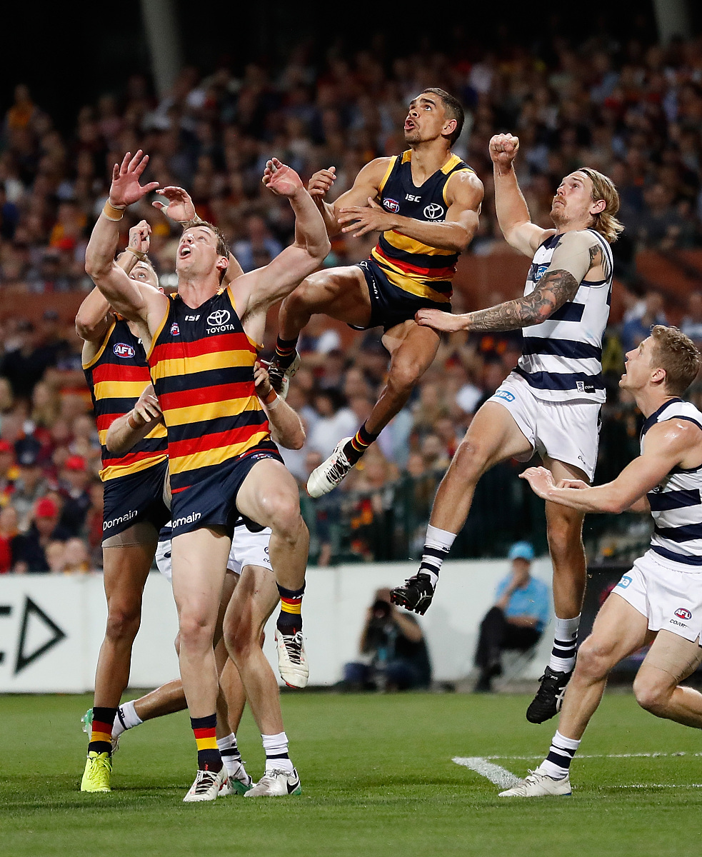 纽卡斯尔联vs阿森纳比赛分析-凯时在线入口